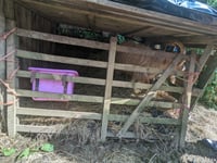 Mother and daughter banned after neglecting goats and chickens