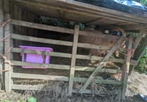 Mum and daughter banned after neglecting goats and chickens