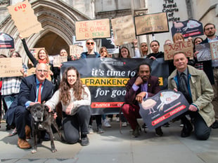Campaign warns farmers on 'frankenchickens'