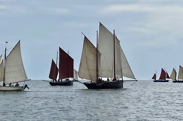 Racing action from the 2025 Looe Lugger Classics event (Picture: Peter Kinver)