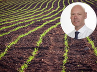 UK forage crops hit hard by heatwaves