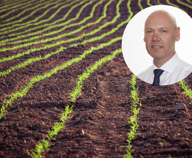 UK forage crops hit hard by heatwaves