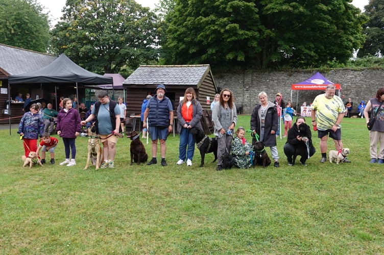 There were more than 100 entries in the Torpoint Family Fun Dog Show despite the rather miserable weather. (Picture: Andy Campfield)