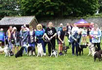 Community news from across South East Cornwall and beyond