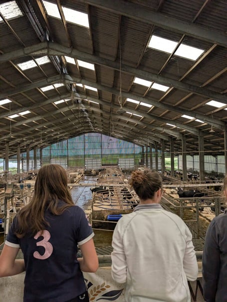 Some of those hoping for a future as a farm vet on a visit during the Penbode Vets taster day. (Picture: Penbode Vets)