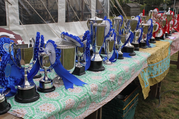 A line of trophies ready to be distributed by Stoke Climsland show committee president, Louise Power.