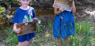 Schoolchildren name Heligan’s first beaver kits