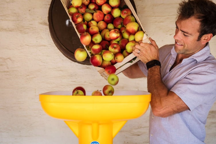 Healey's traditional apple mill and press