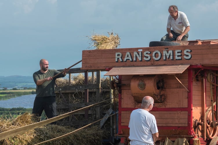 Vintage farming machinery and practices are among the highlights at the annual event