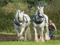 Lanlivery Vintage Rally gears up for a packed 2025 weekend