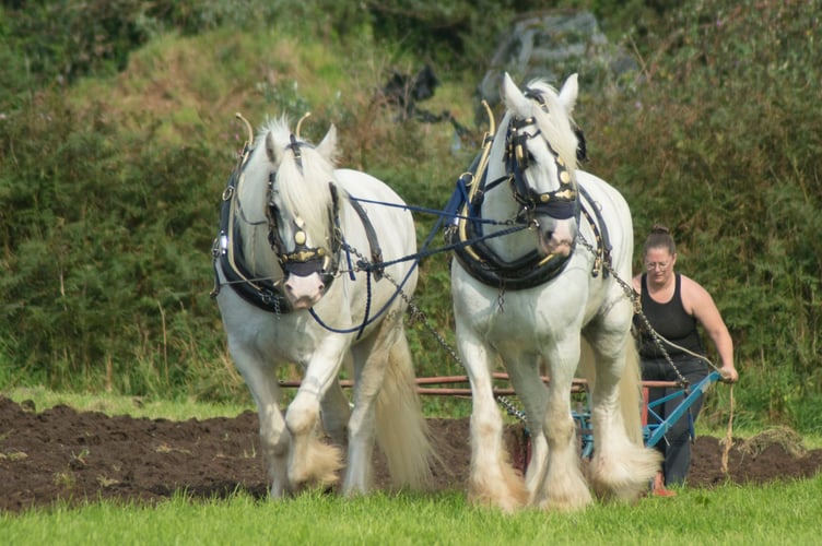 Excitement is building ahead of this year's Lanlivery Vintage Rally