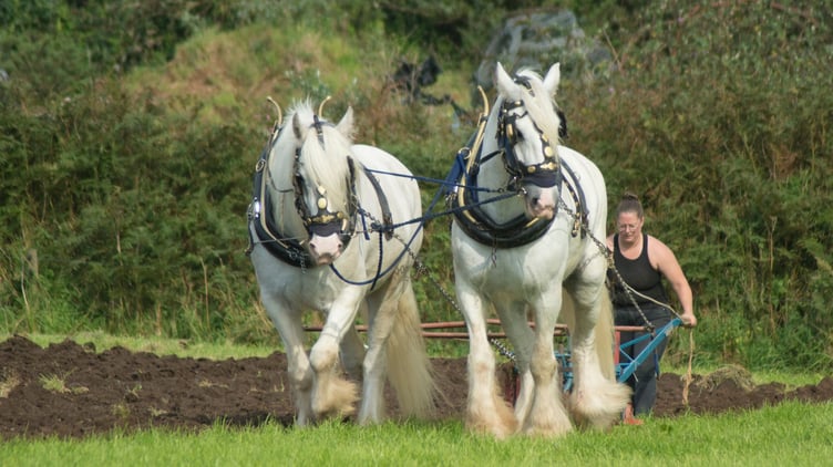 Excitement is building ahead of this year's Lanlivery Vintage Rally
