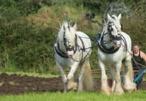 Lanlivery Vintage Rally gears up for a packed 2025 weekend