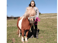 Shetland pony finds loving new home after shocking court case