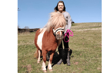 Shetland pony finds loving new home after shocking court case