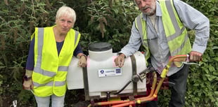 Marking a floral milestone 