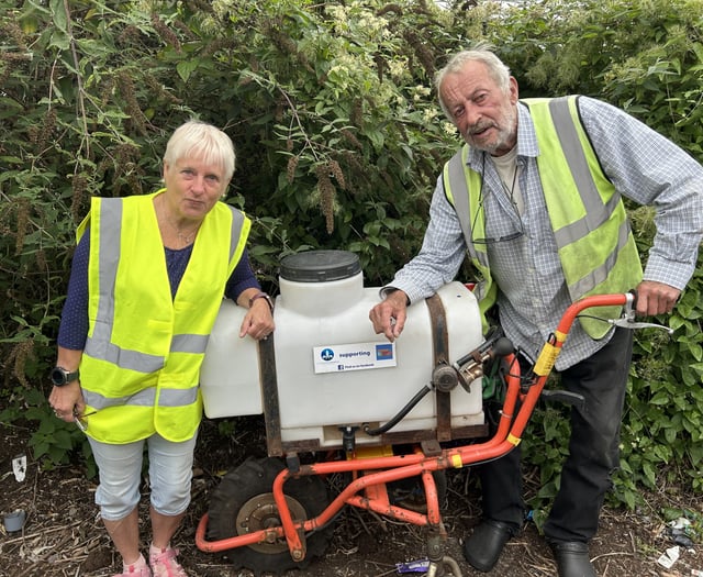 Marking a floral milestone 