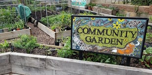 Residents invited to help shape new community garden