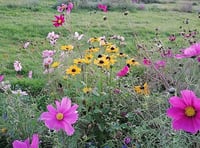 Hands on gardening days open for volunteers