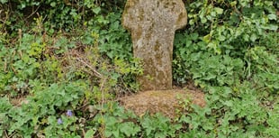 Henwyn tyller/Place names - Park an Growes 