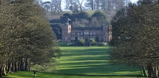 Mount Edgcumbe to host new arts and music extravaganza