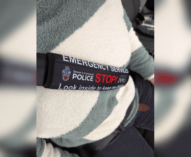Motorists with communication needs offered free seatbelt covers