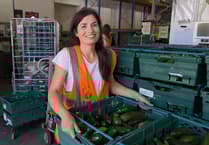 FareShare South West: Turn your surplus courgettes into a tasty meal