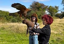 Sharon and Kelly Osbourne find solace in falconry in Cornwall