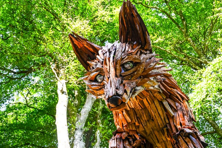 The fox sculpture has been installed at the Lost Gardens of Heligan. (Picture: Hugh Hastings)
