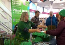 Forest for Cornwall tree giveaway at Callington’s Honey Fair
