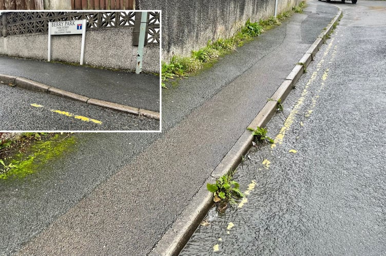 County councillor Keith Johnson has highlighted the issue of faded yellow lines at Berry Park in Saltash