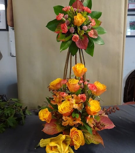 Community news from across South East Cornwall