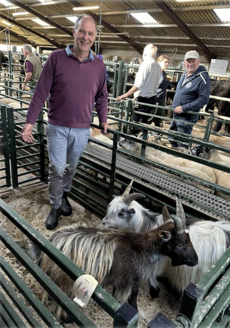 Pygmy goats to £89 from local goat farmer Tim Cowling of Trencreek.