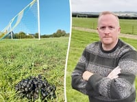 Sheep invasion delays club’s long-awaited first competitive game