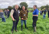 In My View with Jim Candy: Cornwall has rich farming heritage we must protect