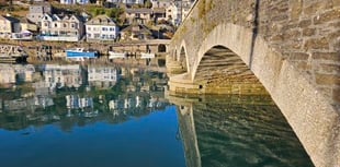 Mayor urges residents to have their say in new town survey