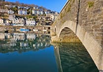 Mayor urges residents to have their say in new town survey