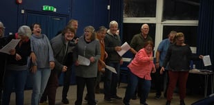 'Fangtastic' fun awaits this Hallowe'en
