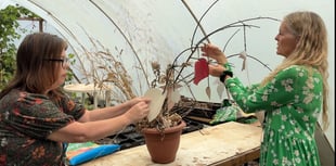 New project uses nature to boost mental health