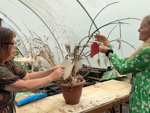 New project uses nature to boost mental health