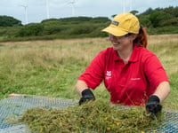 Cornwall leads the way in largest meadow restoration project 