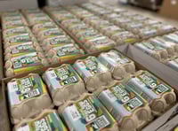 Cornish family business transforming egg industry with tech investment