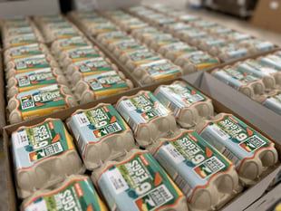 Cornish family business transforming egg industry with tech investment