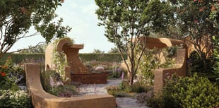 Garden designer shines spotlight on gynaecological cancer 