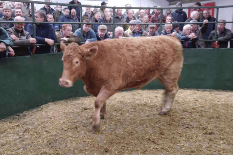 Just on 220 Stores to a top of £2410.