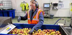 MP looking at further ways to support businesses