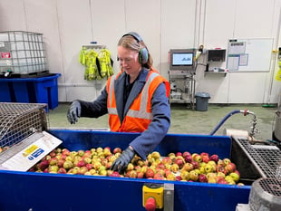 MP looking at further ways to support businesses