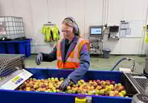 MP looking at further ways to support businesses in South East Cornwall