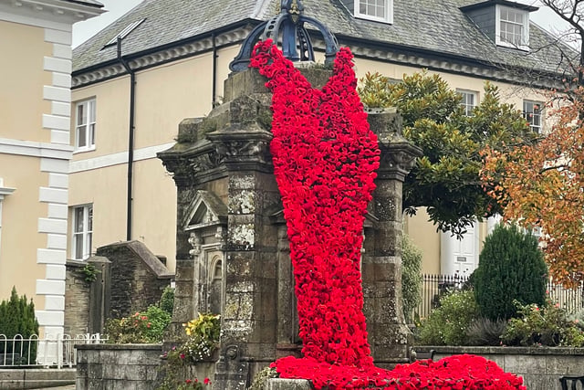 Stunning Poppy cascade a true community tribute to the fallen