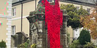 Stunning Poppy cascade a true community tribute to the fallen